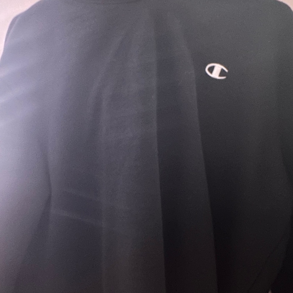 Champion cropped hoodie